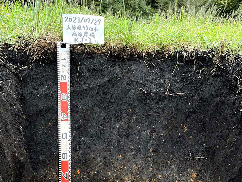 炭素含量が高くて黒色の、黒ボク土の断面写真です。